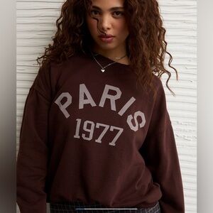 AE Brown Paris 1977 Sweatshirt NWOT